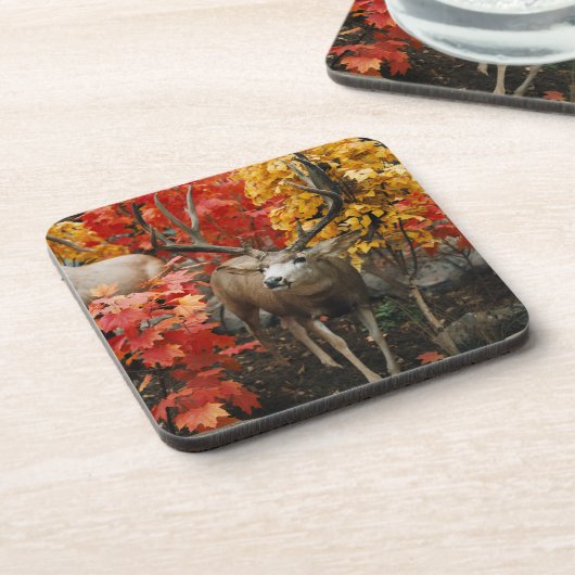 Dessous-de-verre Whitetail En Automne (Côté gauche)