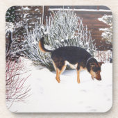 Dessous-de-verre Winter snow scene with cute black and tan dog (Devant)