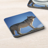 Dessous-de-verre Wolf sur les rochers (Côté gauche)