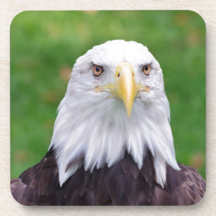 Dessous-de-verre Yeux d'un aigle chauve