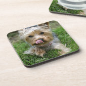 Dessous-de-verre Yorkshire Terrier Puppy - "jjhelene design" (Côté gauche)