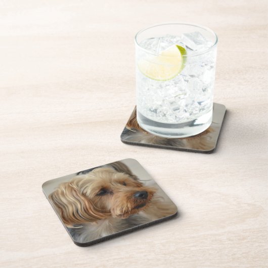 Dessous-de-verre Yorkshire Terrier Zac (Côté Droit)