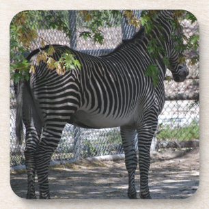 Dessous-de-verre Zebra Love