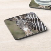 Dessous-de-verre Zèbre, Kenya, Afrique (Côté gauche)