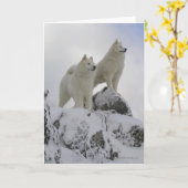 "Dessus carte de voeux de monde" (Fleur jaune)