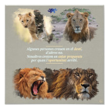 Destí o oportunitat?