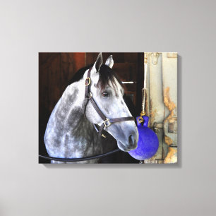 Destin Canvas Afdruk