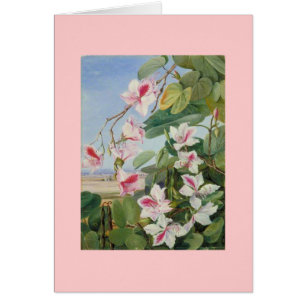 Destin floral rose d'amour de paix de douche de