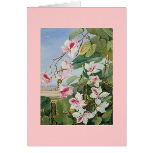 Destin floral rose d'amour de paix de douche de (Devant)