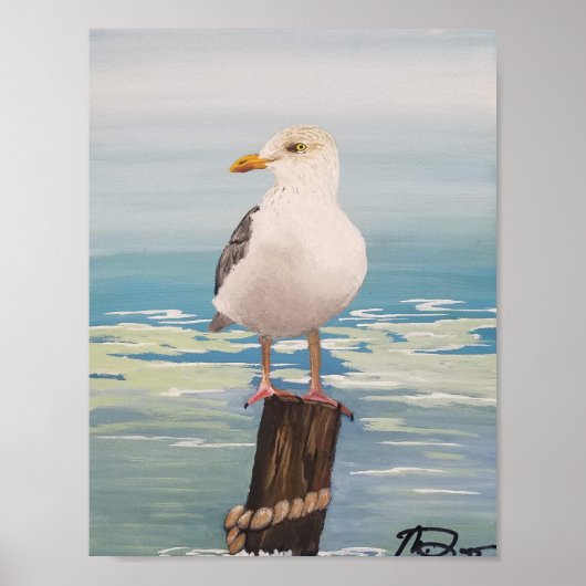 Destin Seagull Poster (Voorkant)
