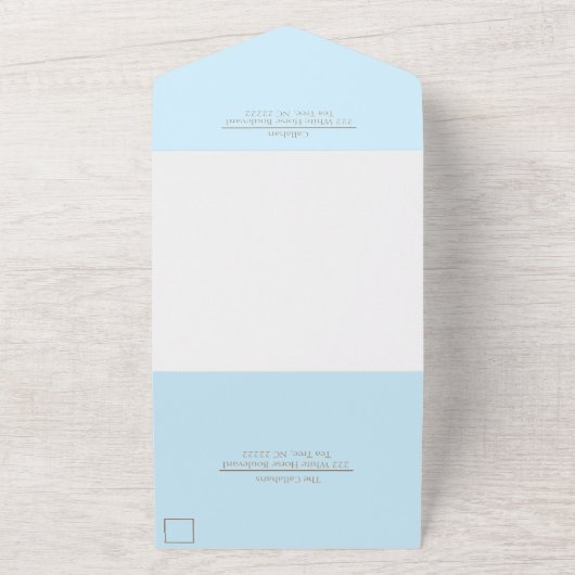 Destination Wedding All in One Wedding Invitation (Dehors)