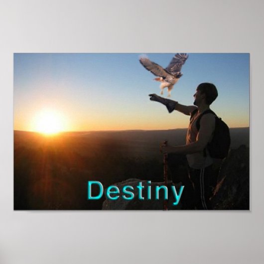 Destiny Poster (Voorkant)
