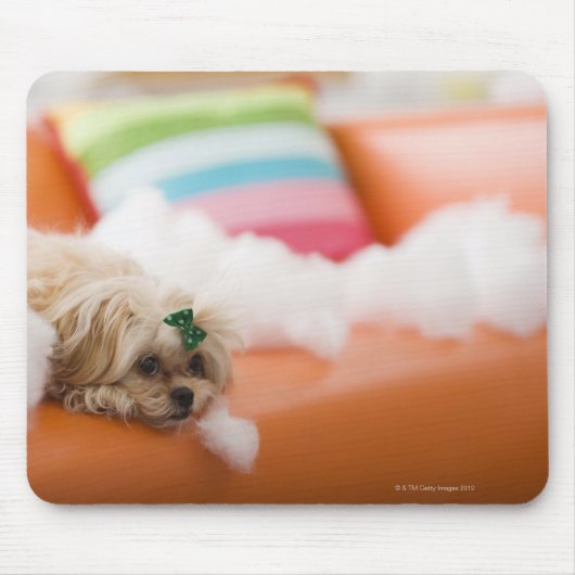 destructieve hond muismat (Voorkant)