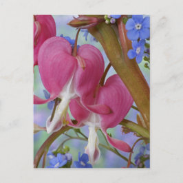 Detail van bloedende harten en Brunnera Jack Briefkaart