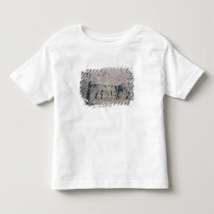 Detail van een afbeelding steen kinder shirts