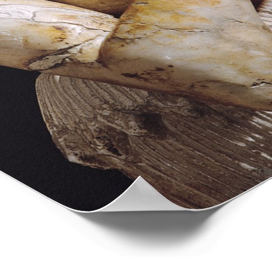 Detail van een standbeeld van Itur-Shamagen Poster (Hoek)