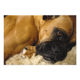 Detail van een vak foto afdruk