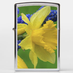 Detail van narcis- en hyacintbloemen. Credit