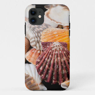 Detail van schelpen van over de hele wereld 2 iPhone 11 hoesje