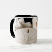 Detail van zeeschelpen van over de hele wereld mok (Voorkant links)