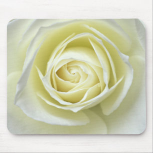 Detailopname van witte roos muismat