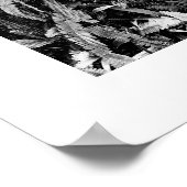 Détails de la série Nature - affiche des fougères (Coin)