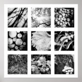 Détails de la série Nature - Affiche forestière (Devant)