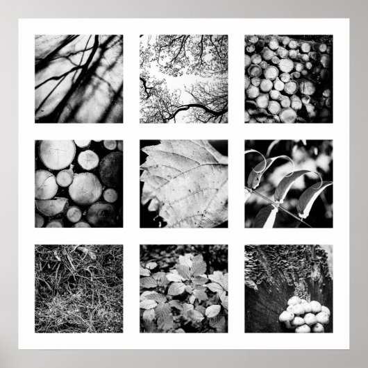 Détails de la série Nature - Affiche forestière (Devant)