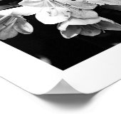 Détails de la série Nature - Poster des fleurs (Coin)