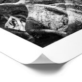 Détails de la série Nature - Poster des racines (Coin)