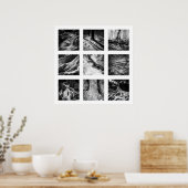 Détails de la série Nature - Poster des racines (Cuisine)