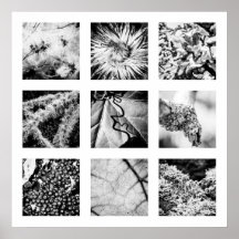 Details van de reeks Naturen - Details Poster