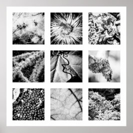 Details van de reeks Naturen - Details Poster