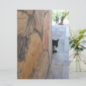 DETECTIEVE KAT ACHTER DE STEENWAL ( (Staand voorkant)