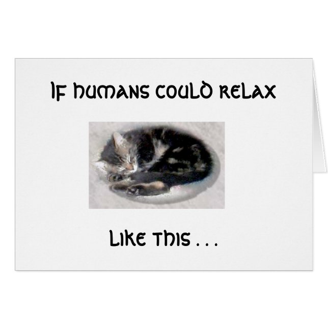 Détendez comme un chat (Devant Horizontal)