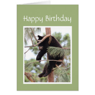 Détendez-vous, c'est votre ours d'anniversaire pou