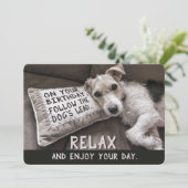 Détendez-vous comme le chien de jolies cartes d'an (Debout devant)