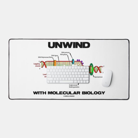 Détendez-vous grâce à la réplication de l'ADN en b (Clavier et souris)