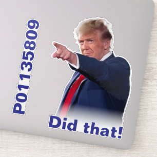 Détenu P01135809 et autocollants "J'ai fait ça !"