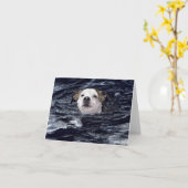 "Détermination" - Carte de chien de bain (Fleur jaune)