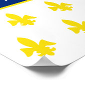 Detroit Flag Poster (Hoek)