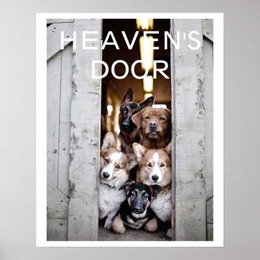 DEUR - POSTER 18 X 24 INCH (Voorkant)