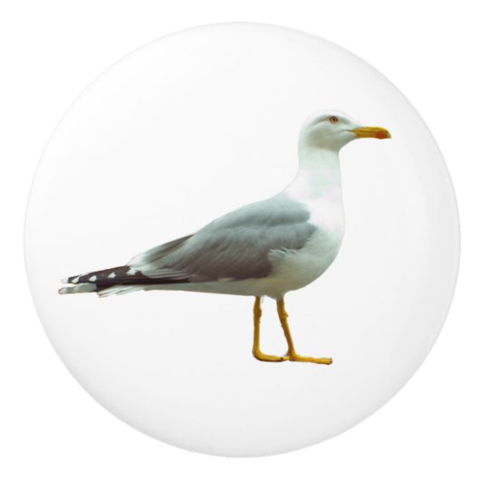 Deurdeur en trekhendel keramische knop (Voorkant)