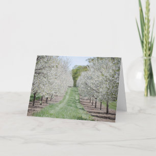 Deuren County Cherry Tree Notecard Kaart