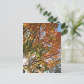 Deuren County Herfst Briefkaart (Staand voorkant)