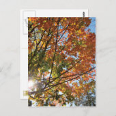 Deuren County Herfst Briefkaart (Voorkant / Achterkant)