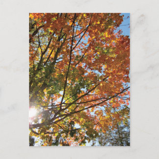 Deuren County Herfst Briefkaart