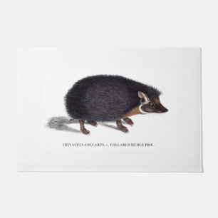 Deurklep egel deurmat