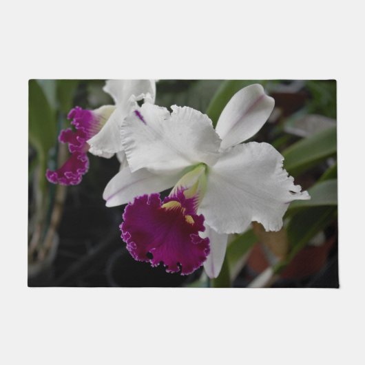 Deurmat Orchidee Wit Paars (Voorkant)