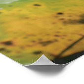 Deuteronomie 30:19 Manuscriptdruk Poster (Hoek)